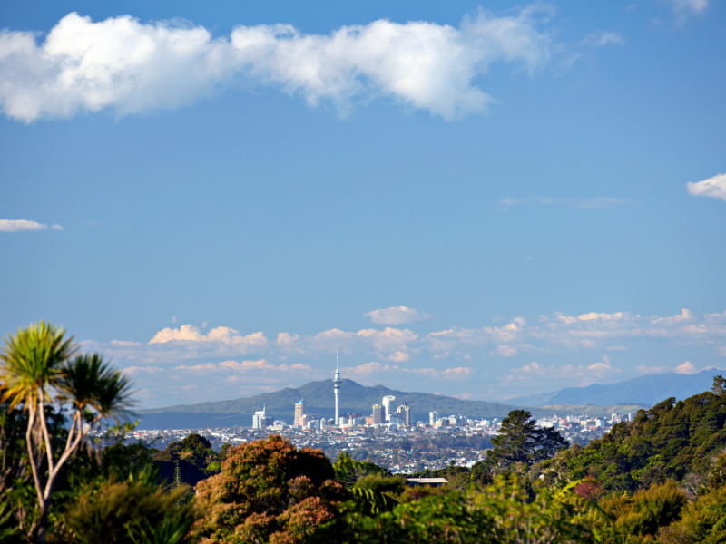 Auckland City careers